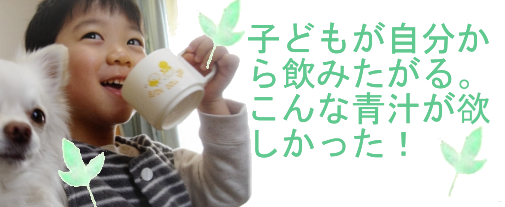 f:id:haru72lemone:20180525020129p:plain f:id:haru72lemone:20180525020129p:plain