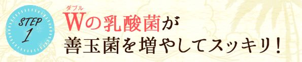 f:id:haru72lemone:20180602153727j:plain f:id:haru72lemone:20180602153727j:plain
