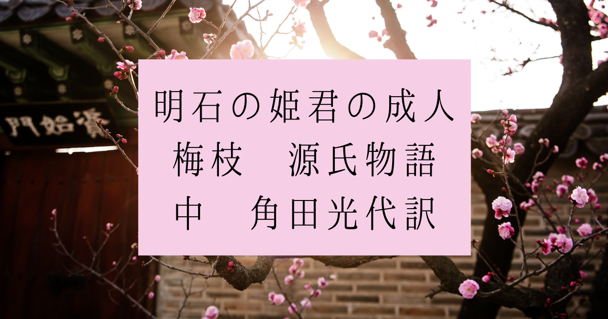 明石の姫君の成人 梅枝 源氏物語 中 角田光代訳 広く浅く