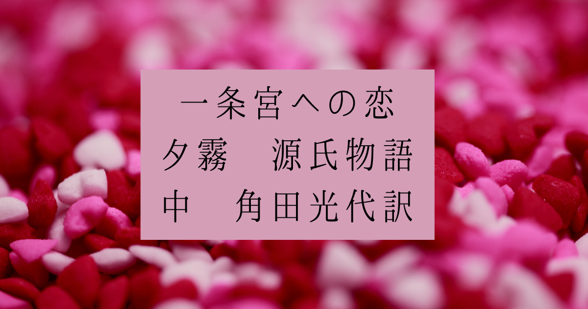 一条宮への恋 夕霧 源氏物語 中 角田光代訳 広く浅く