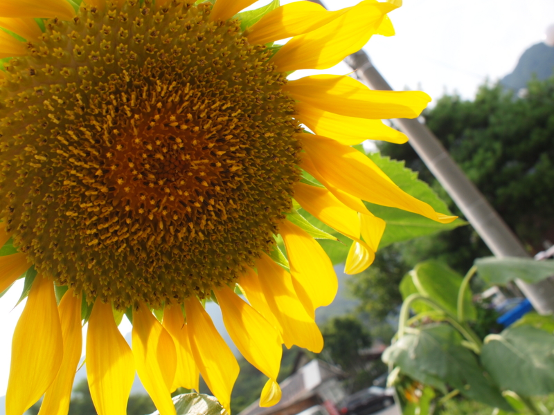 f:id:haru_bb:20110813152047j:image f:id:haru_bb:20110813152047j:image