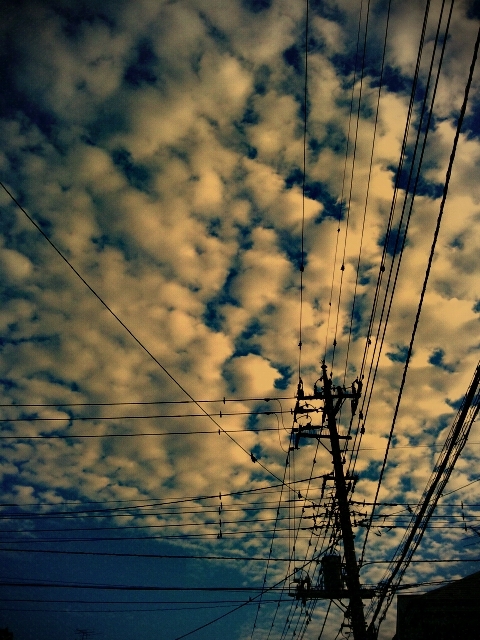 f:id:haru_bb:20111003175331j:image f:id:haru_bb:20111003175331j:image