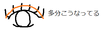 f:id:haru_cosmetics:20190222221338p:plain