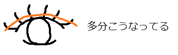 f:id:haru_cosmetics:20190222221953p:plain