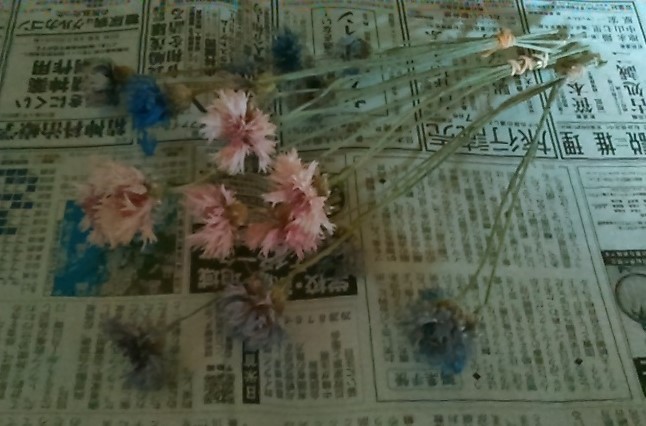 f:id:haru_e-hana:20190531132209j:plain