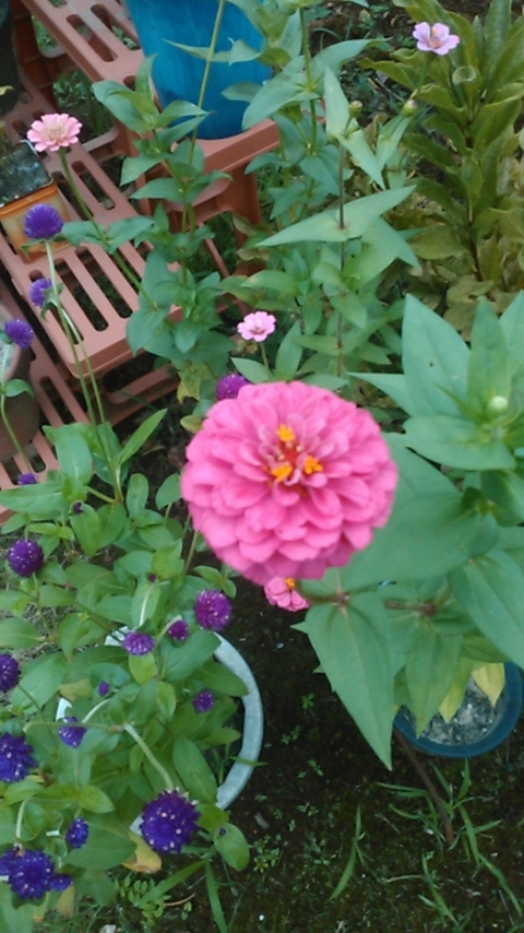 f:id:haru_e-hana:20190824200313j:plain f:id:haru_e-hana:20190824200313j:plain