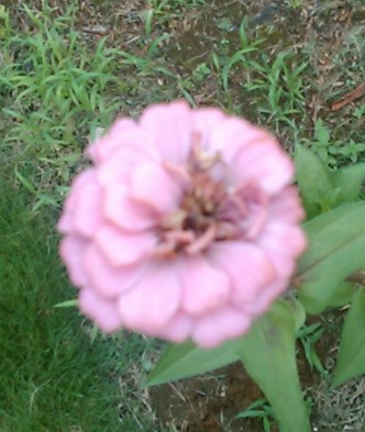 f:id:haru_e-hana:20190824201239j:plain f:id:haru_e-hana:20190824201239j:plain