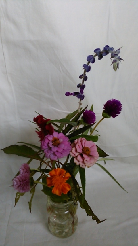 f:id:haru_e-hana:20190919204901j:plain