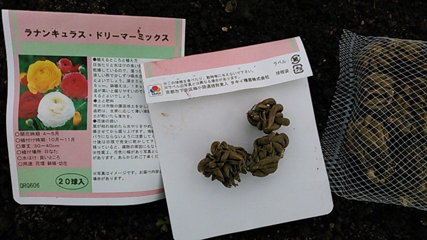 f:id:haru_e-hana:20191227200842j:plain