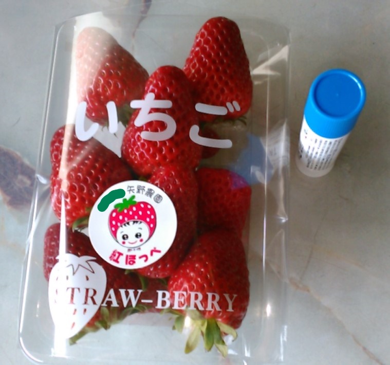 f:id:haru_e-hana:20200319143111j:plain
