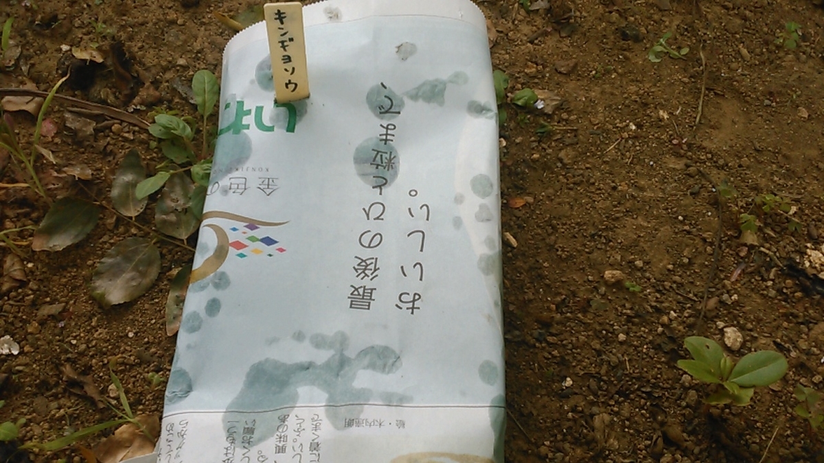 f:id:haru_e-hana:20201003150330j:plain