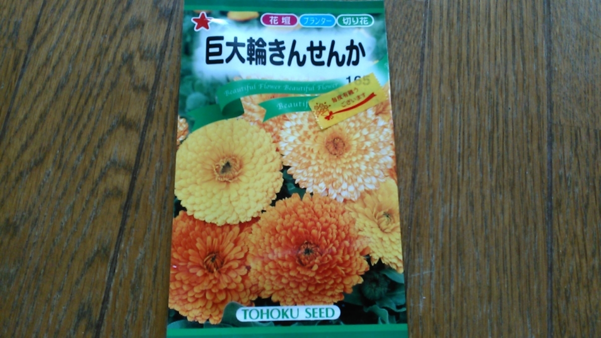 f:id:haru_e-hana:20201004145438j:plain