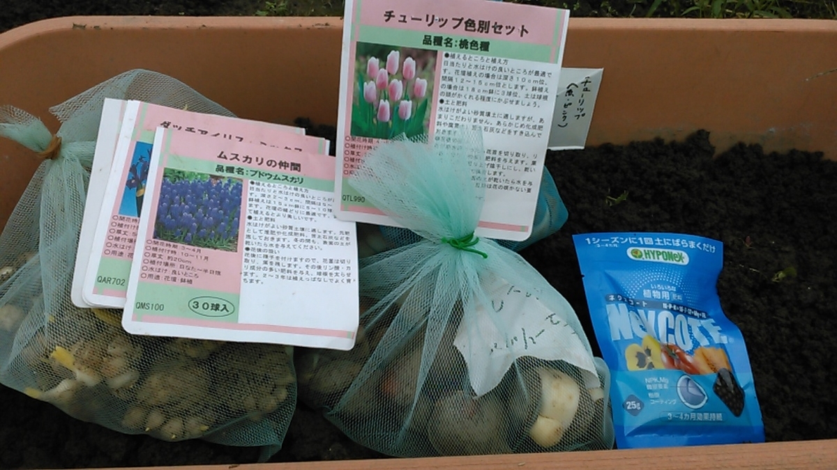 f:id:haru_e-hana:20201017190831j:plain