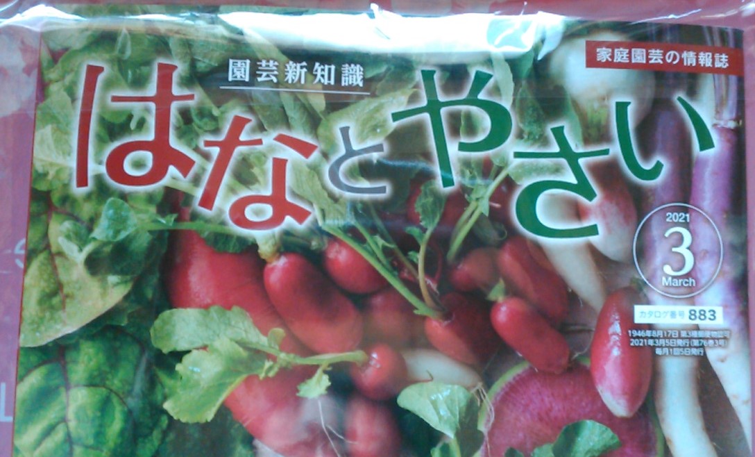f:id:haru_e-hana:20210225201513j:plain