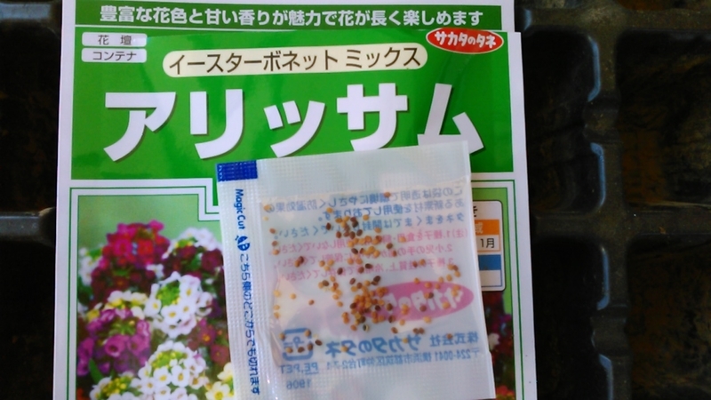 f:id:haru_e-hana:20210314180043j:plain