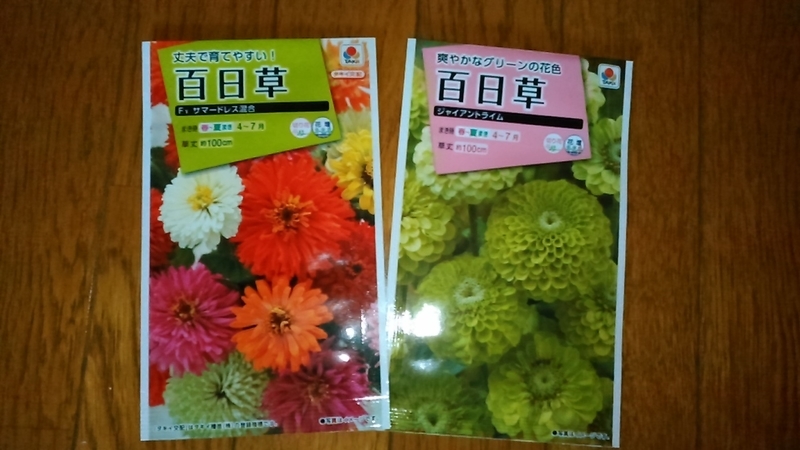 f:id:haru_e-hana:20210418173856j:plain