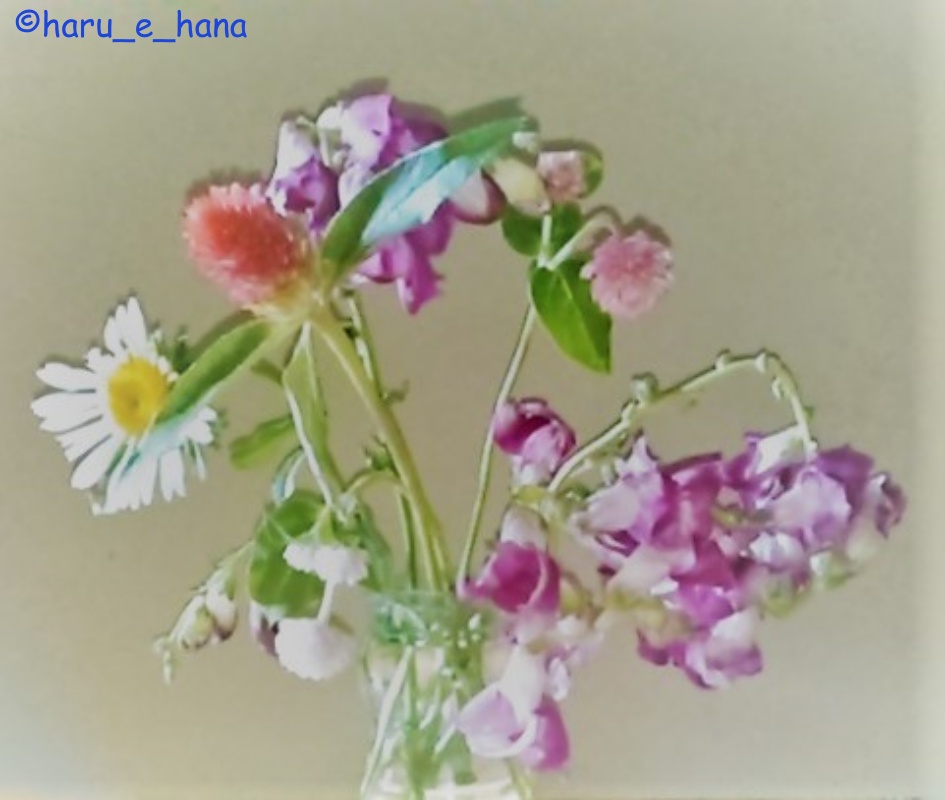 f:id:haru_e-hana:20210830214152j:plain