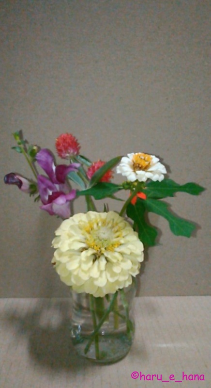 f:id:haru_e-hana:20210830214250j:plain