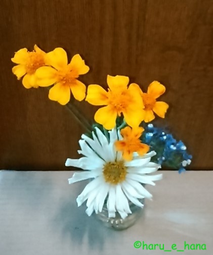 f:id:haru_e-hana:20210830214611j:plain