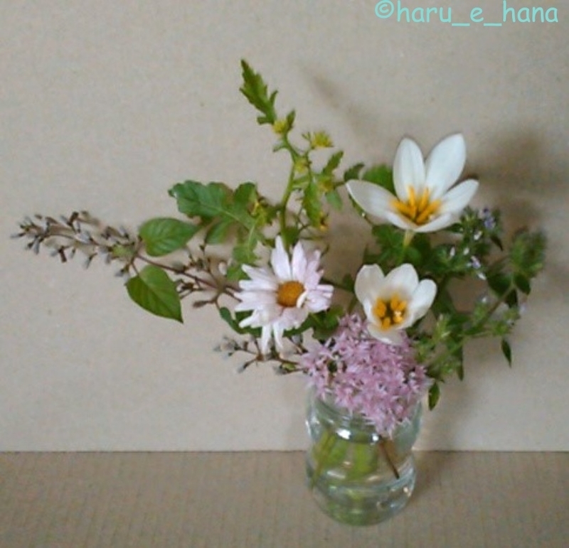 f:id:haru_e-hana:20210919160840j:plain