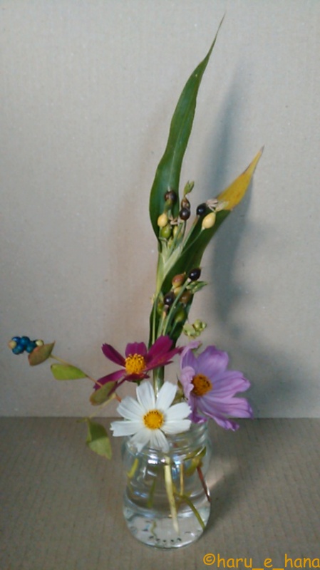 f:id:haru_e-hana:20210926104200j:plain