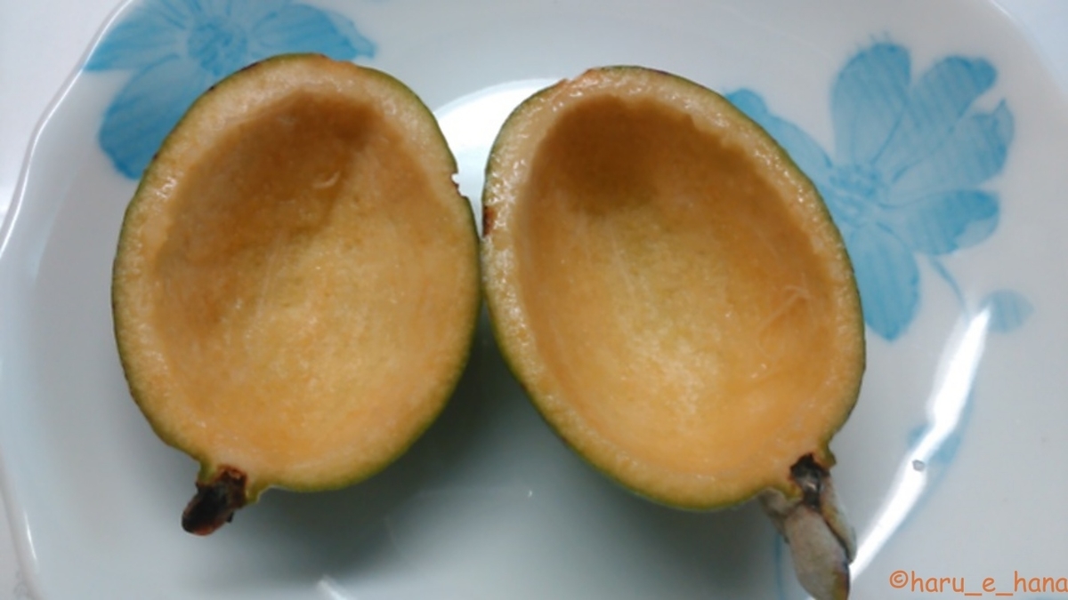 f:id:haru_e-hana:20211012125404j:plain