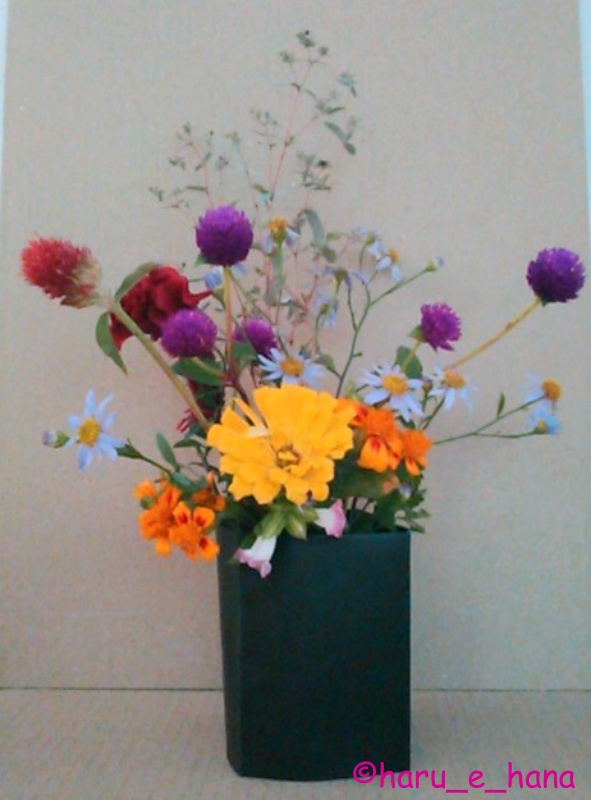 f:id:haru_e-hana:20211017165148j:plain