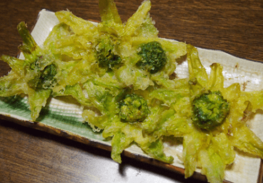 f:id:haru_haru_k:20190203000712p:plain