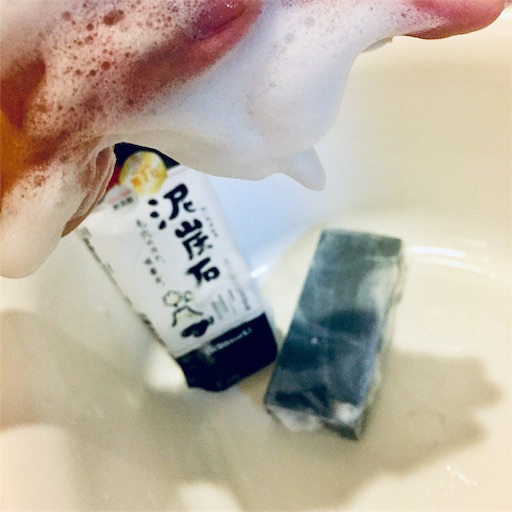 f:id:haru_pom:20190504160514j:image