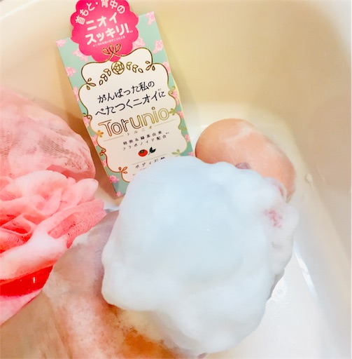 f:id:haru_pom:20190512235250j:image