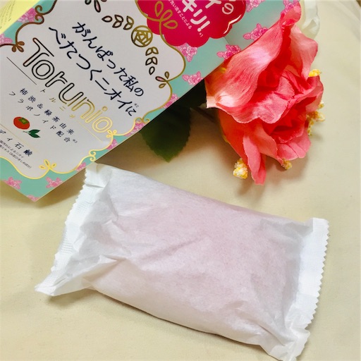 f:id:haru_pom:20190513044912j:image