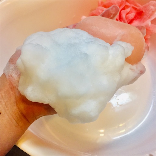 f:id:haru_pom:20190513050032j:image