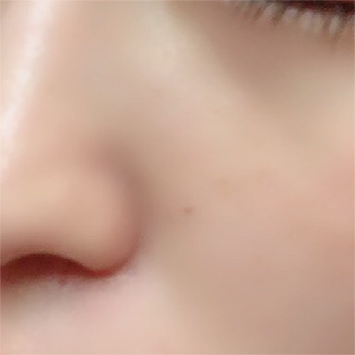 f:id:haru_pom:20190602152303j:image