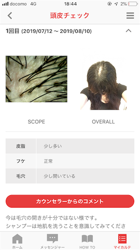 f:id:haru_pom:20190731235550p:image
