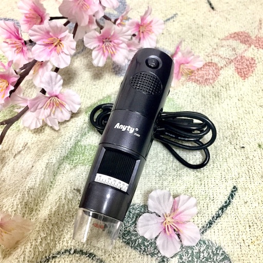 f:id:haru_pom:20190731235622j:image