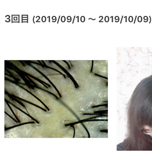 f:id:haru_pom:20191001030148j:image