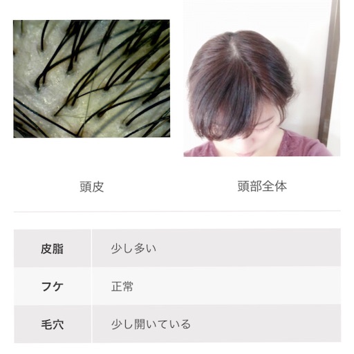 f:id:haru_pom:20200124023639j:image