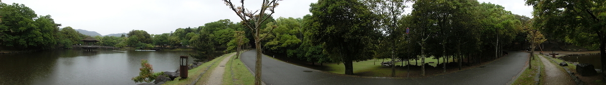 f:id:haru_swallow:20210505173414j:plain