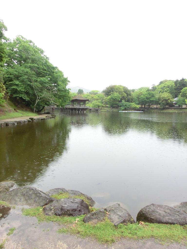 f:id:haru_swallow:20210505173452j:plain