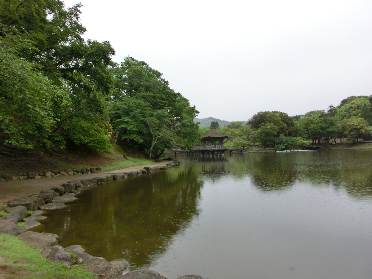 f:id:haru_swallow:20210505173459j:plain