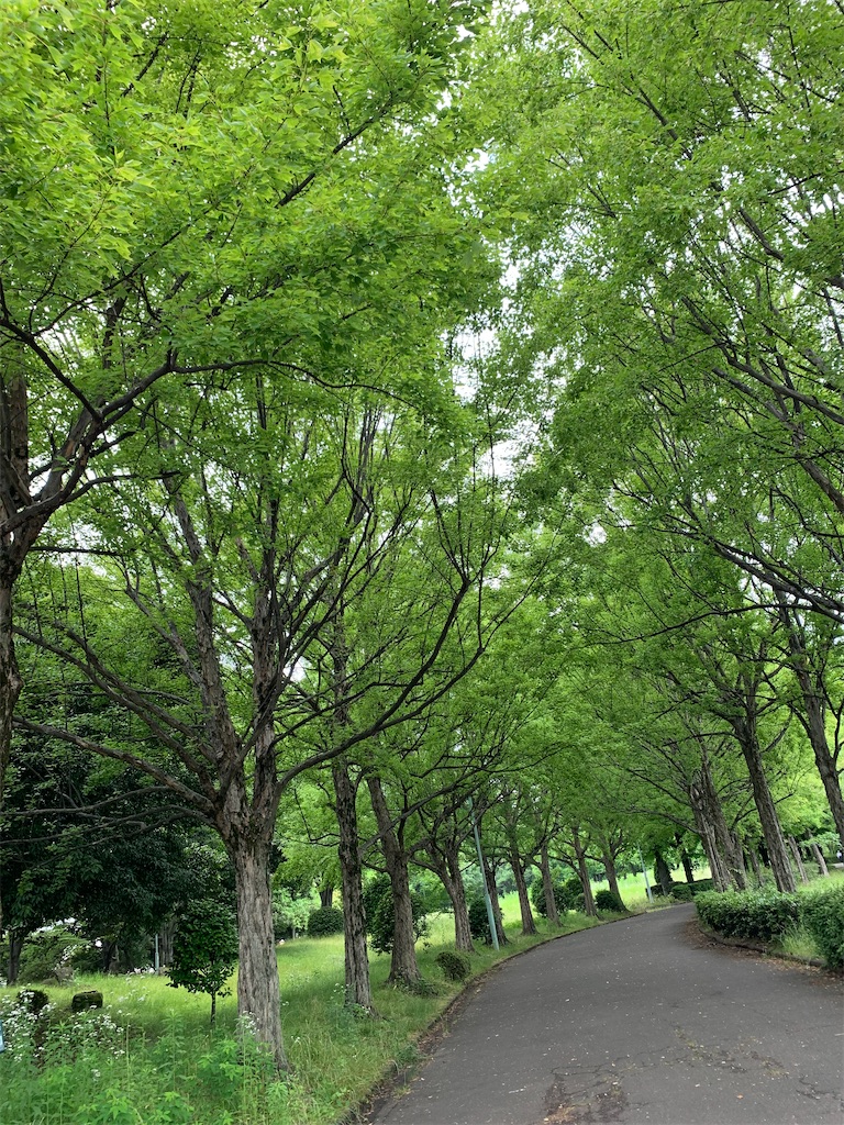 f:id:harublog39:20230601235513j:image