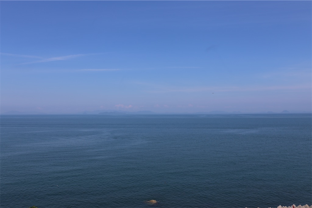 f:id:harubrmyt:20250821223014j:image f:id:harubrmyt:20250821223014j:image
