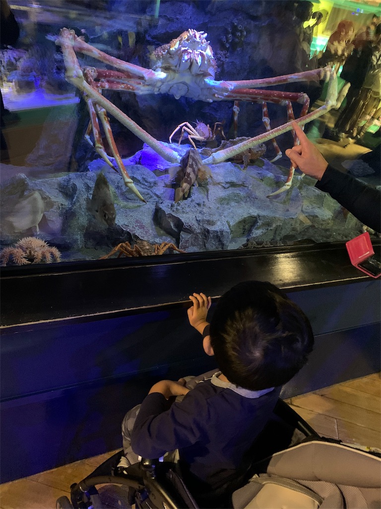 f:id:harucham87:20191023223851j:image f:id:harucham87:20191023223851j:image