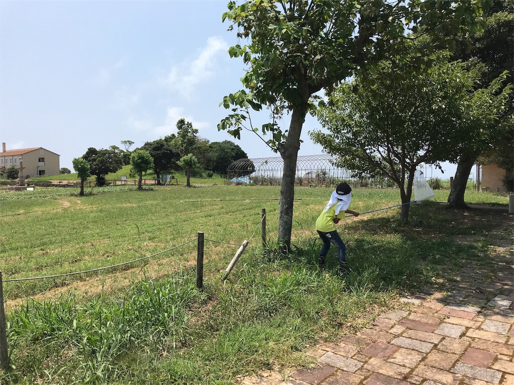 f:id:harucota55:20180918201447j:image