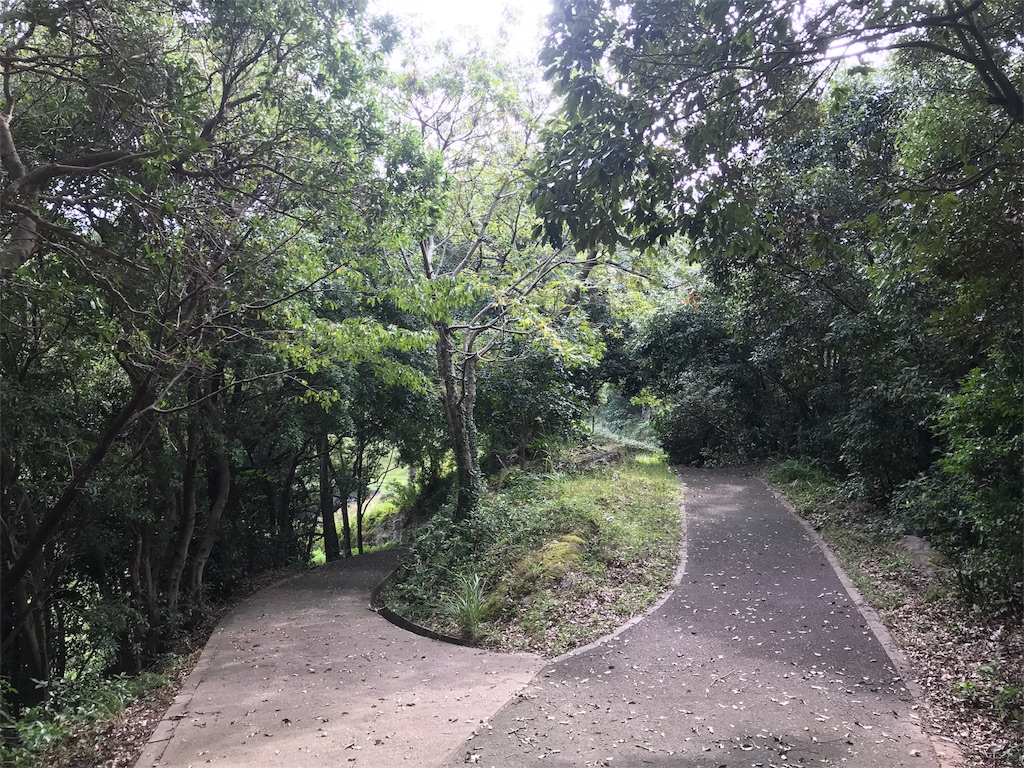 f:id:harucota55:20181021180622j:image