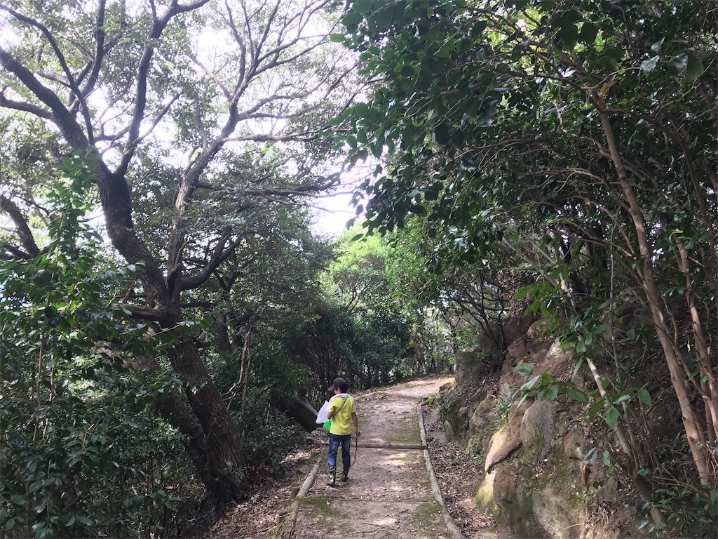 f:id:harucota55:20181021180640j:image