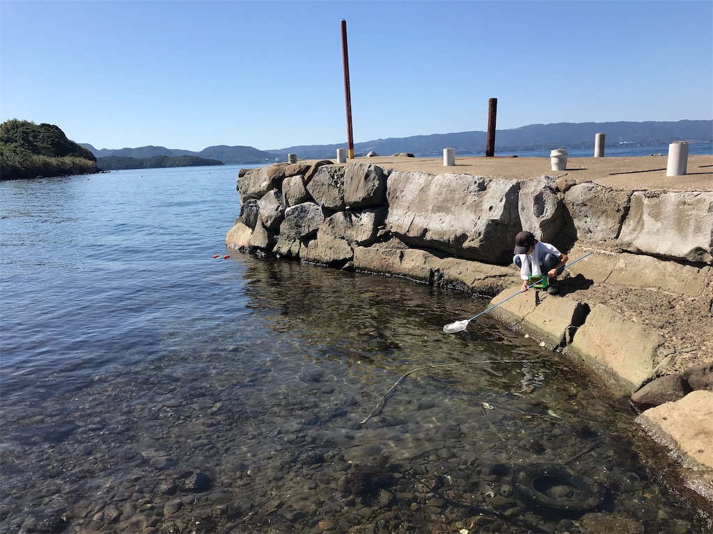 f:id:harucota55:20181101203526j:image