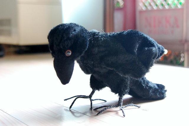 カラスとハル フクロウおばさん