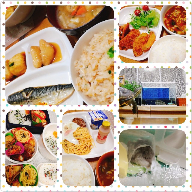 f:id:harue818:20181018224623j:plain f:id:harue818:20181018224623j:plain