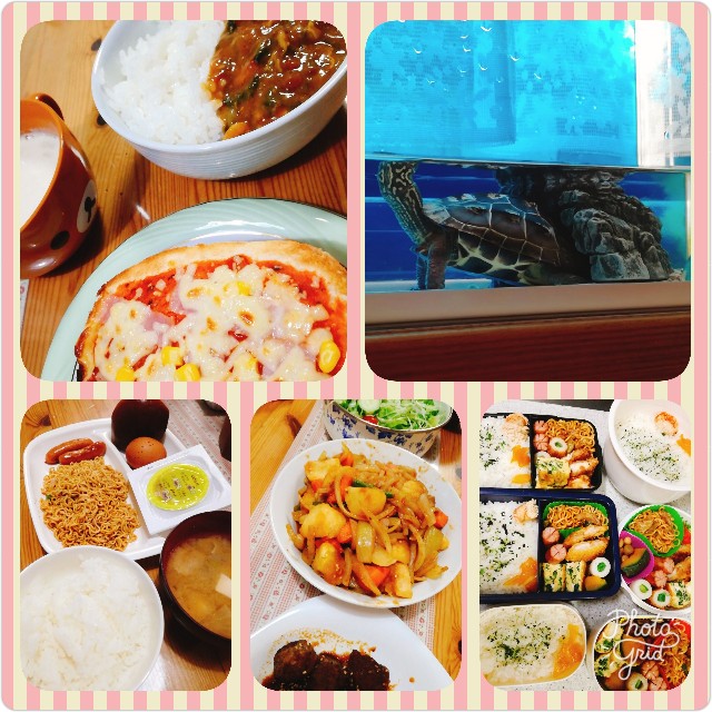 f:id:harue818:20181020065447j:plain